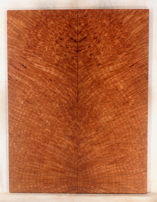 Redwood Solid Body Guitar Drop Top