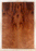 Redwood Solid Body Electric Guitar Drop Top