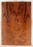 Redwood Electric Guitar Drop Top