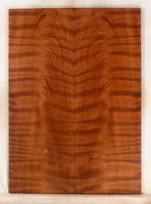 Redwood Electric Guitar Drop Top