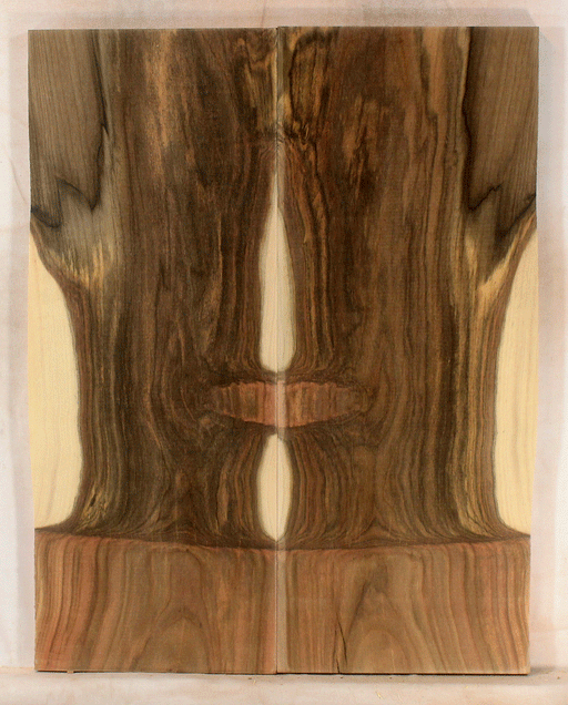 Pistachio Guitar Electric Top