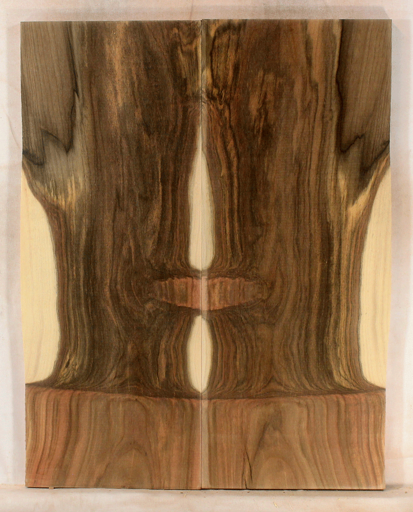 Pistachio Guitar Electric Top