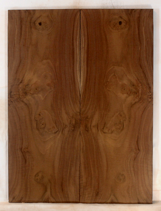 Claro Walnut Electric Solid Body Droptop, Excellent Color and Contrast, Orchard Recovery – Eco Friendly (KO21)