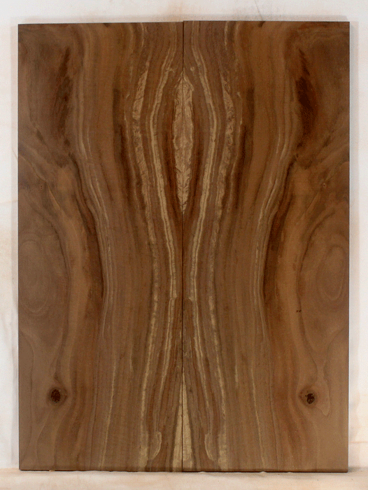 Claro Walnut Electric Solid Body Droptop, Excellent Color and Contrast, Figure, Orchard Recovery – Eco Friendly (KO22)