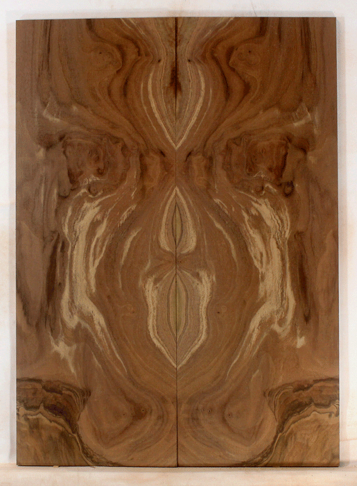 Claro Walnut Electric Solid Body Droptop, Excellent Color and Contrast, Orchard Recovery – Eco Friendly (KO24)