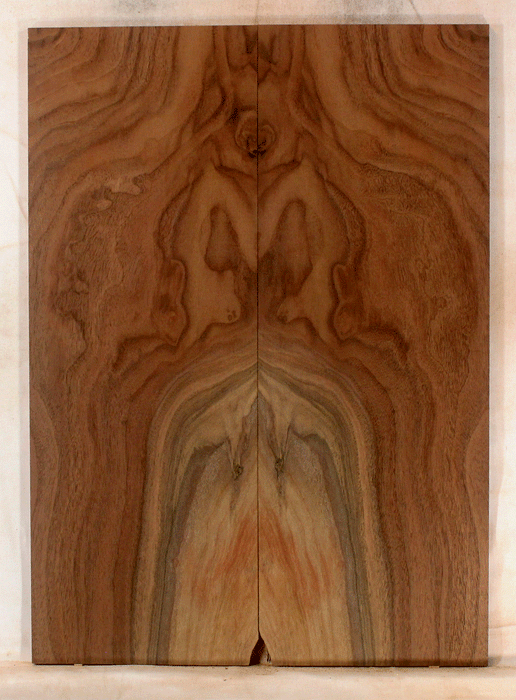 Claro Walnut Electric Solid Body Droptop, Excellent Color and Contrast, Orchard Recovery – Eco Friendly (KO30)