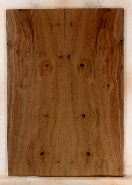 Claro Walnut Electric Solid Body Droptop, Excellent Color and Contrast, Orchard Recovery – Eco Friendly (KO35)