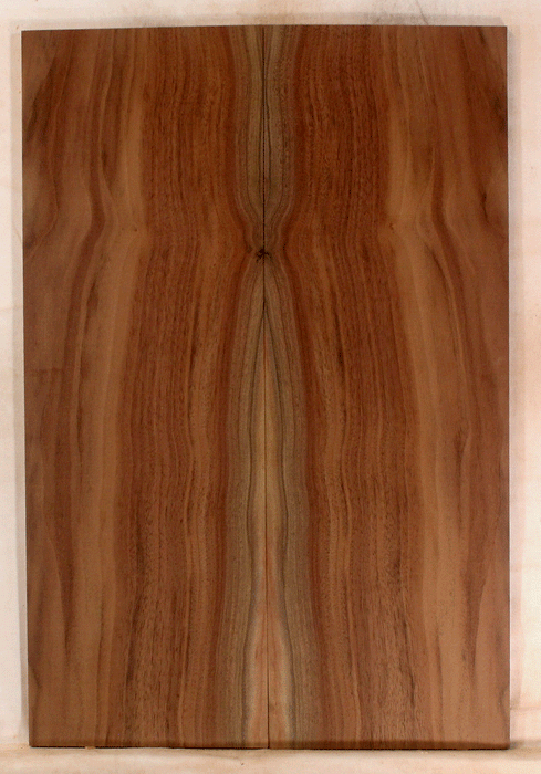 Claro Walnut Electric Solid Body Droptop, Excellent Color and Contrast, Orchard Recovery – Eco Friendly (KO37)