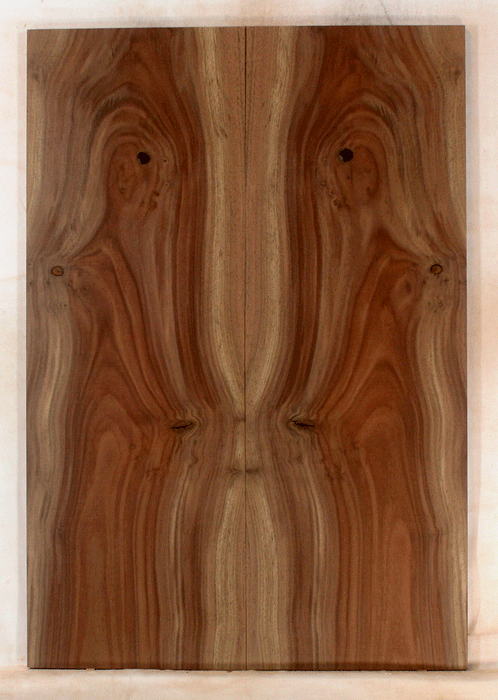 Claro Walnut Electric Solid Body Droptop, Excellent Color and Contrast, Orchard Recovery – Eco Friendly (KO39)