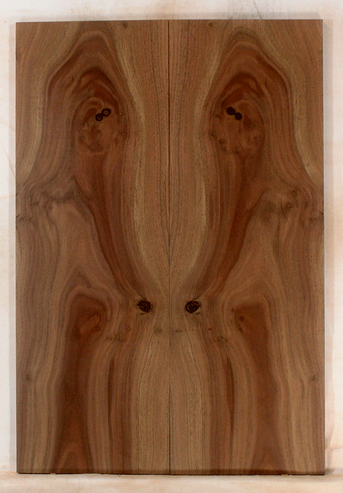 Claro Walnut Electric Solid Body Droptop, Excellent Color and Contrast, Orchard Recovery – Eco Friendly (KO45)