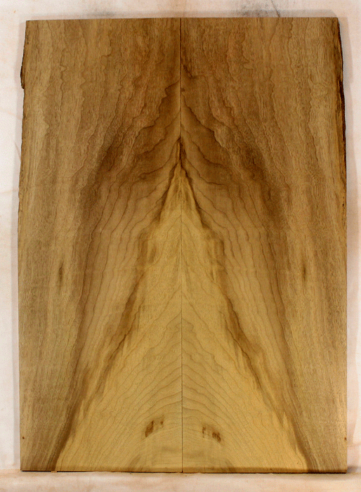 Myrtle Electric Solid Body Droptop Guitar Top, Amazing Color and Contrast and Figure (KO49)