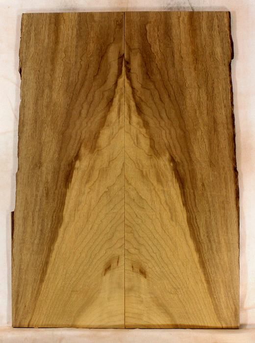 Myrtle Electric Solid Body Droptop Guitar Top, Good Color and Contrast with Light Figure (KO50)