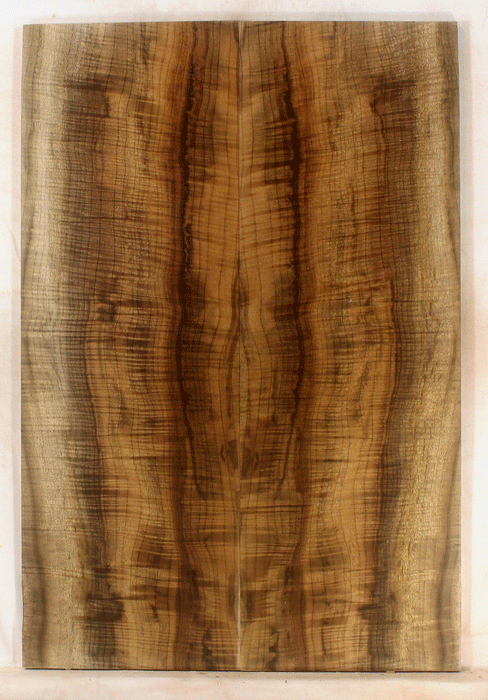 Myrtle Electric Guitar Solid Body Top