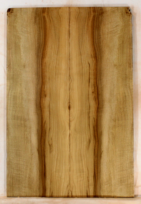 Myrtle Electric Solid Body Droptop Guitar Top, Amazing Color and Contrast and Figure (KO54)