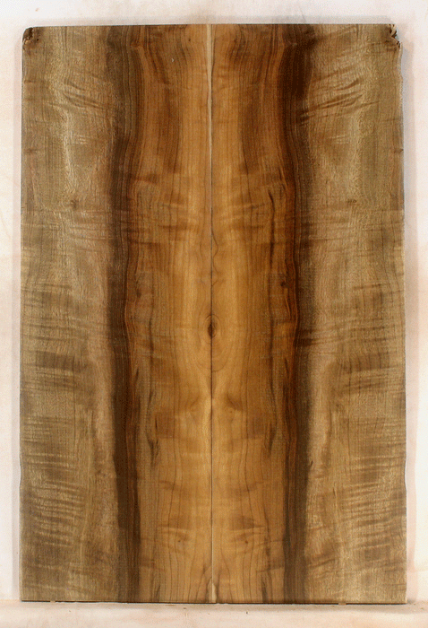 Myrtle Guitar Solid Body Top