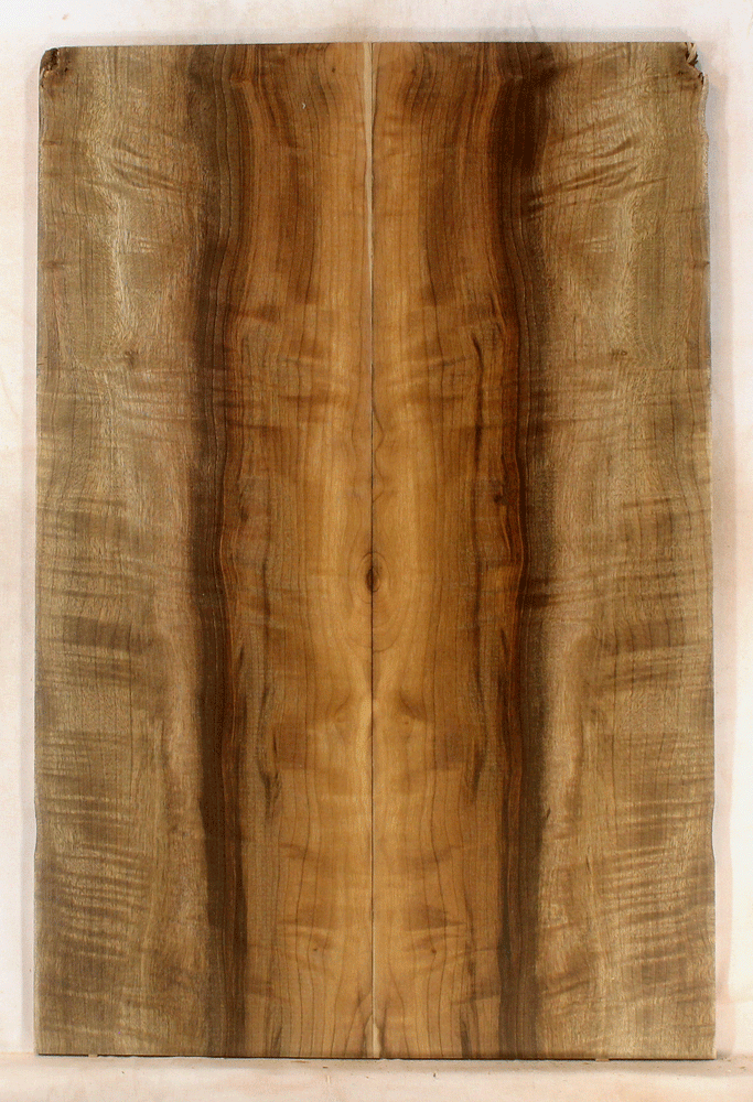 Myrtle Guitar Solid Body Top