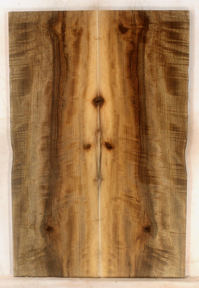 Myrtle Electric Guitar Solid Body Top