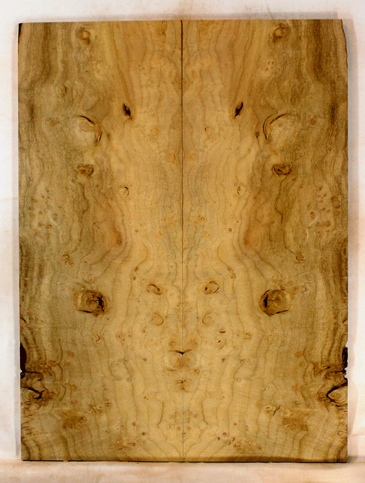 Myrtle Electric Solid Body Droptop Guitar Top, Amazing Color and Contrast,  Figure and Burl (KO57)
