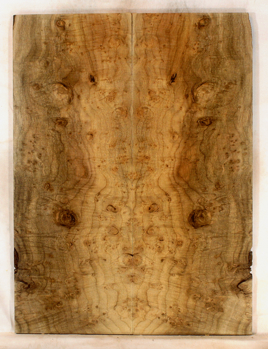 Myrtle Guitar Solid Body Top