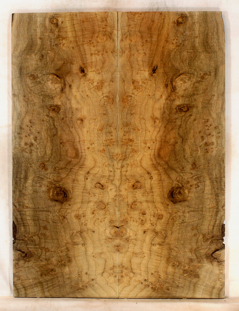 Myrtle Guitar Solid Body Top