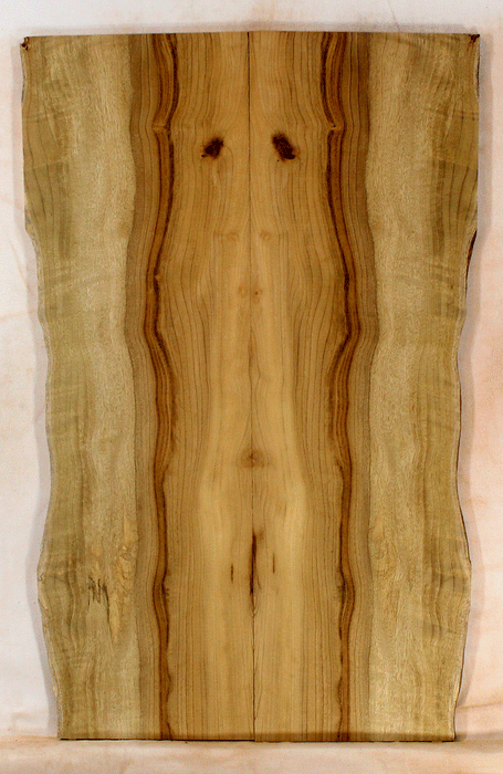 Myrtle Electric Solid Body Droptop Guitar Top, Amazing Color and Contrast and Figure (KO59)