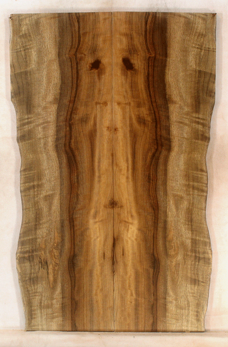 Myrtle Guitar Solid Body Top