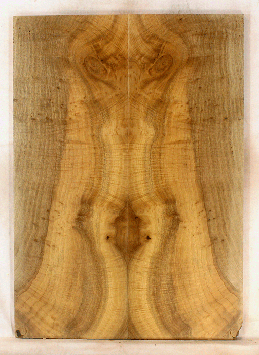 Myrtle Electric Guitar Top