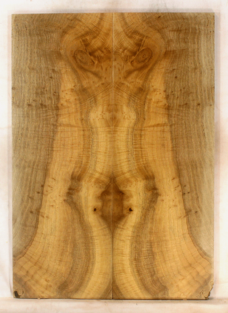 Myrtle Electric Guitar Top