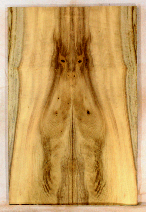 Myrtle Electric Solid Body Droptop Guitar Top, Amazing Color and Contrast and Figure (KO62)