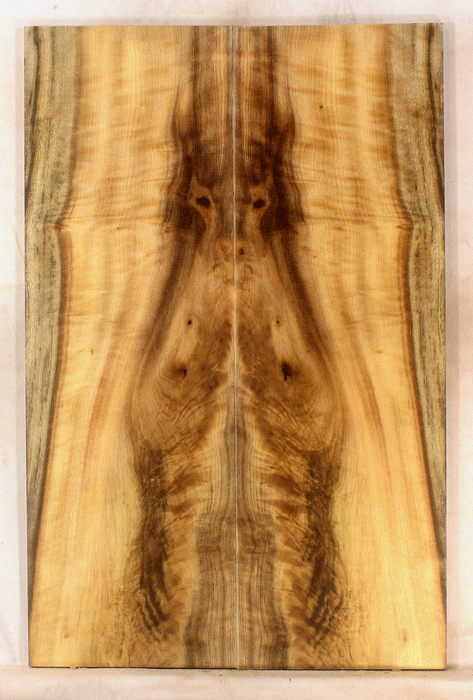 Mytrle Electric Guitar Top