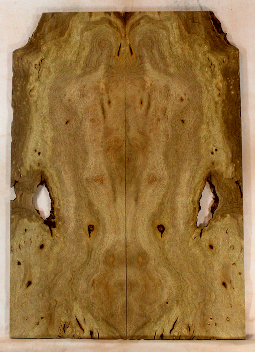 Myrtle Electric Solid Body Droptop Guitar Top, Amazing Color and Contrast and Burl Figure (KO63)