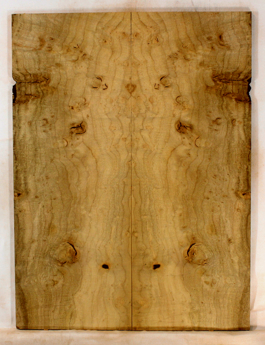 Myrtle Electric Solid Body Droptop Guitar Top, Amazing Color and Contrast and Burl Figure (KO64)