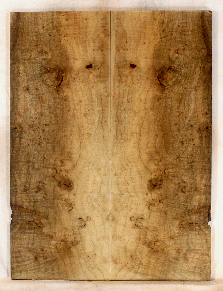 Myrtle Burl Guitar Top