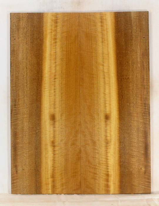 Myrtle Electric Solid Body Droptop