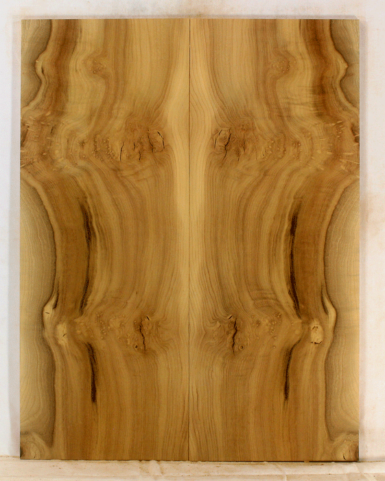 Myrtle Electric Solid Body Droptop Guitar Top, Amazing Color and Contrast and Figure (KO89)