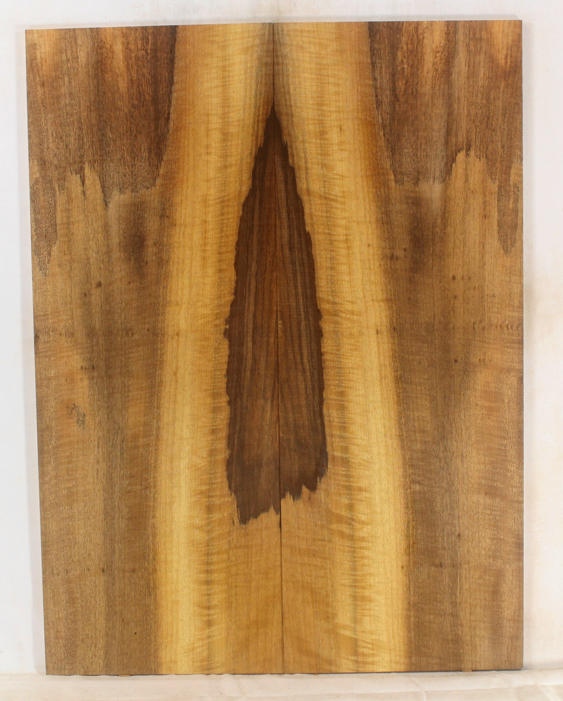 Myrtle Solidbody Top