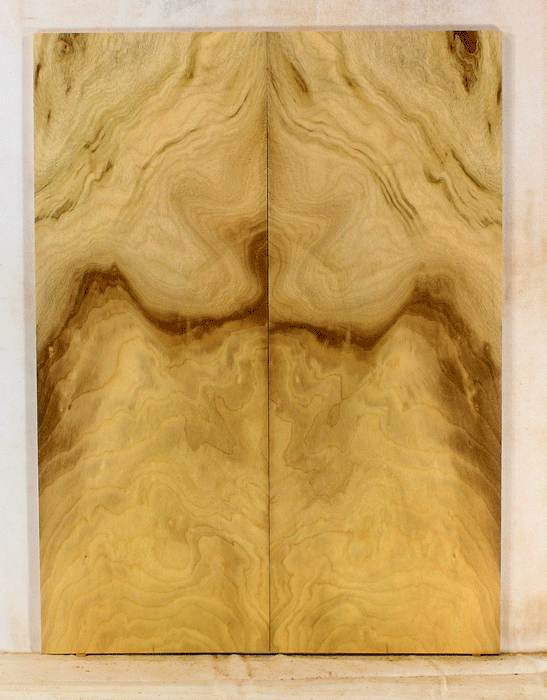 Myrtle Electric Solid Body Droptop Guitar Top, Amazing Color and Contrast and Figure (KO98)