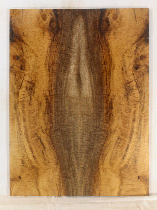 Myrtle Electric Solid Body Guitar Top 