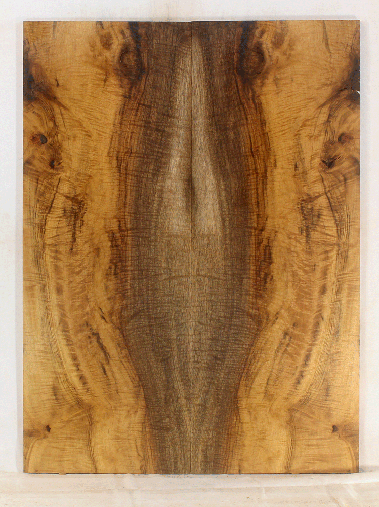 Myrtle Electric Solid Body Guitar Top 