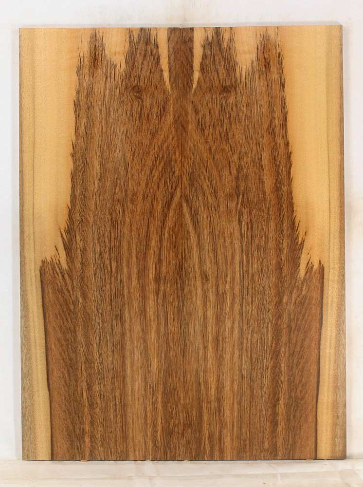 Myrtle Electric Solid Body Guitar  Top