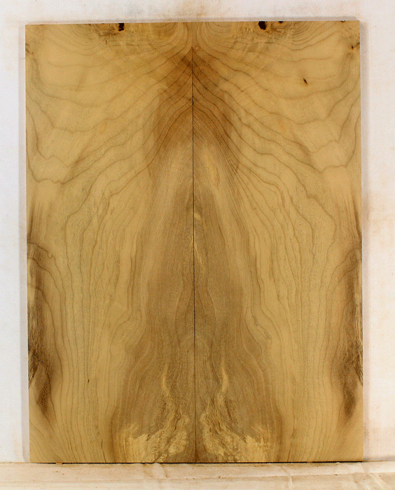 Myrtle Electric Solid Body Droptop Guitar Top, Amazing Color and Contrast and Figure (KP06)