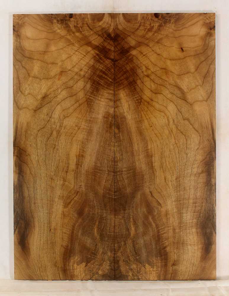 Myrtle Solid Body Guitar Top