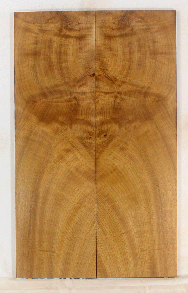 Myrtle Solid Body Guitar Top