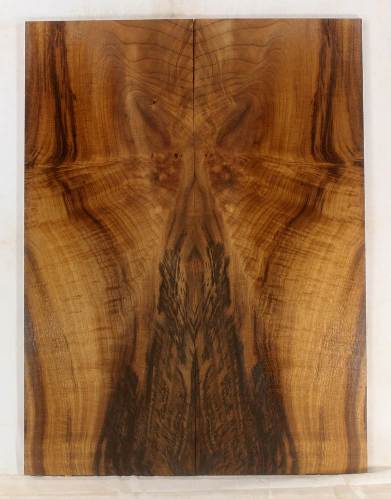 Myrtle Electric Solid Body Guitar Top