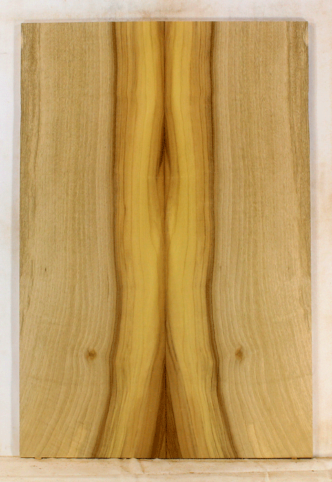 Myrtle Electric Solid Body Droptop Guitar Top, Amazing Color and Contrast and Figure (KP16)