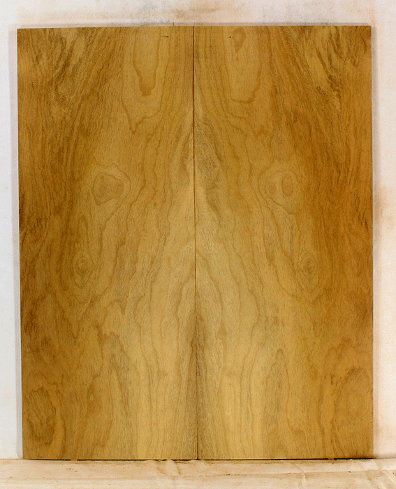 Myrtle Electric Solid Body Droptop Guitar Top, Amazing Color and Contrast and Figure (KP18)