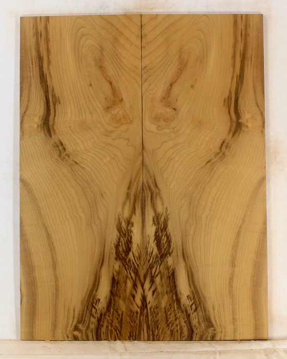 Myrtle Electric Solid Body Droptop Guitar Top, Amazing Color and Contrast and Tiger Figure (KP19)