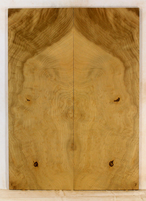 Myrtle Electric Solid Body Droptop Guitar Top, Amazing Color and Contrast and Figure (KP32)