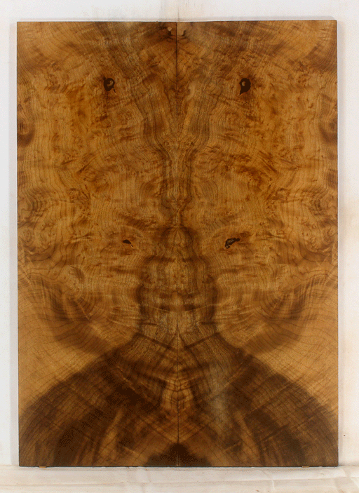 Myrtle Electric Solid Body Guitar Top