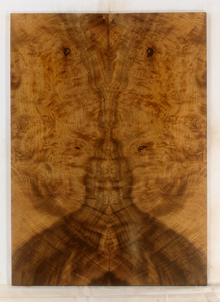 Myrtle Electric Solid Body Guitar Top